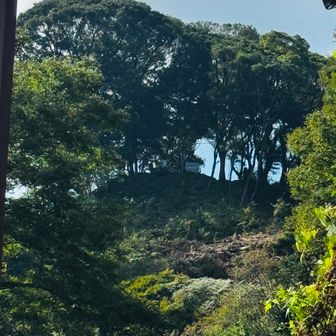 森林公園の舗装路から山頂が見えるようになった。