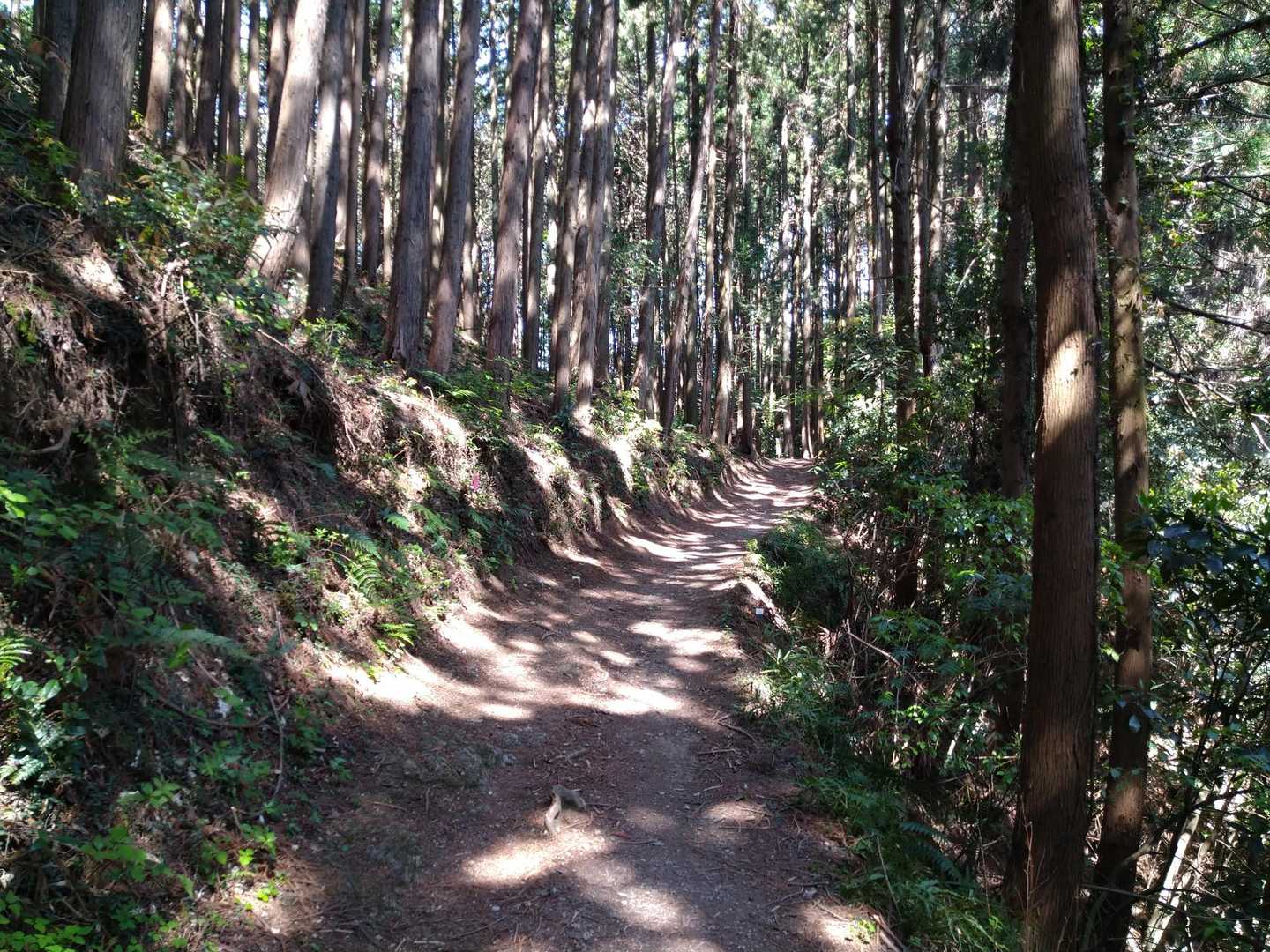 よく整備されてます