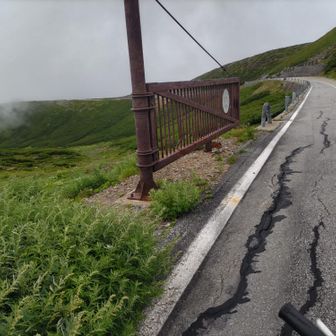 乗鞍スカイラインから朴ノ木平目指して↘🚴