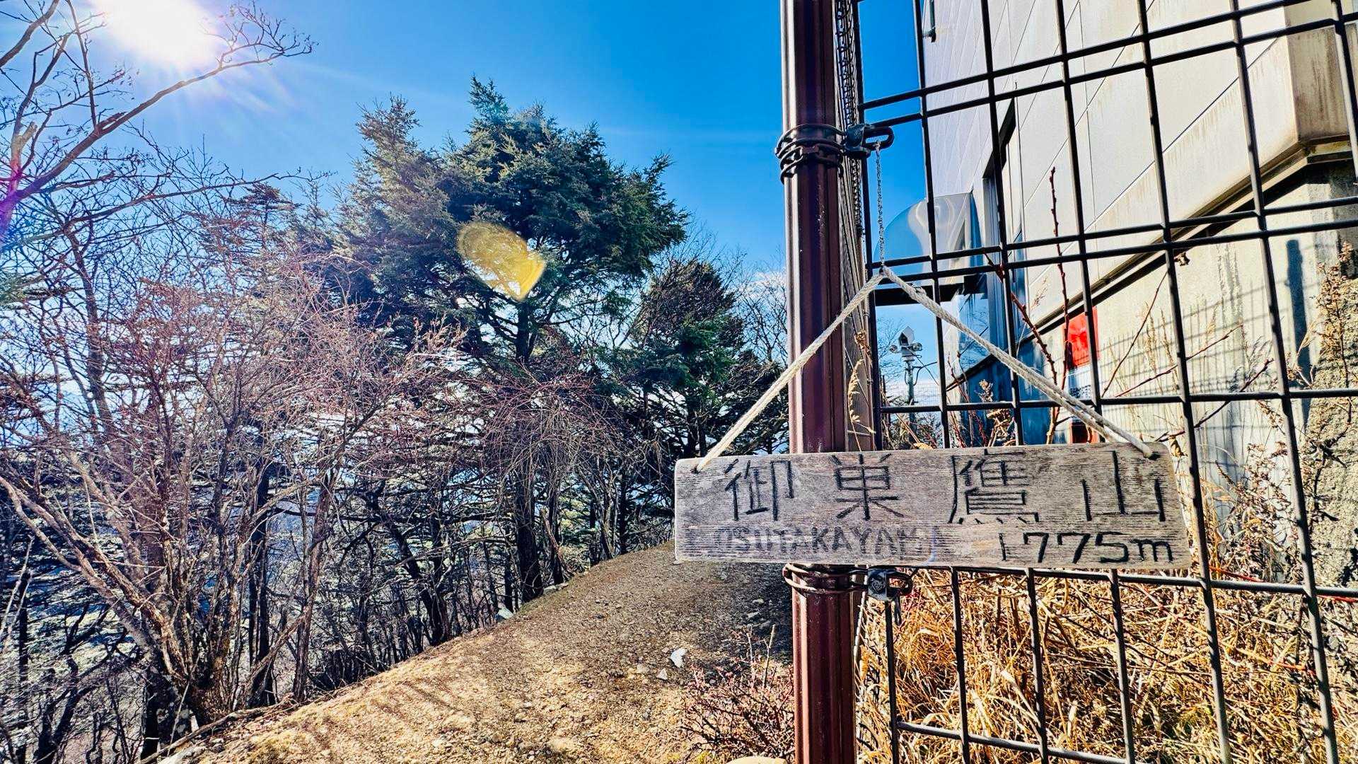 いい陽気☀️