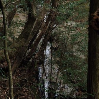 細いけど高さはあるよ💦
