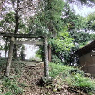 拝殿左手の鳥居を潜る先に磯山山頂があります