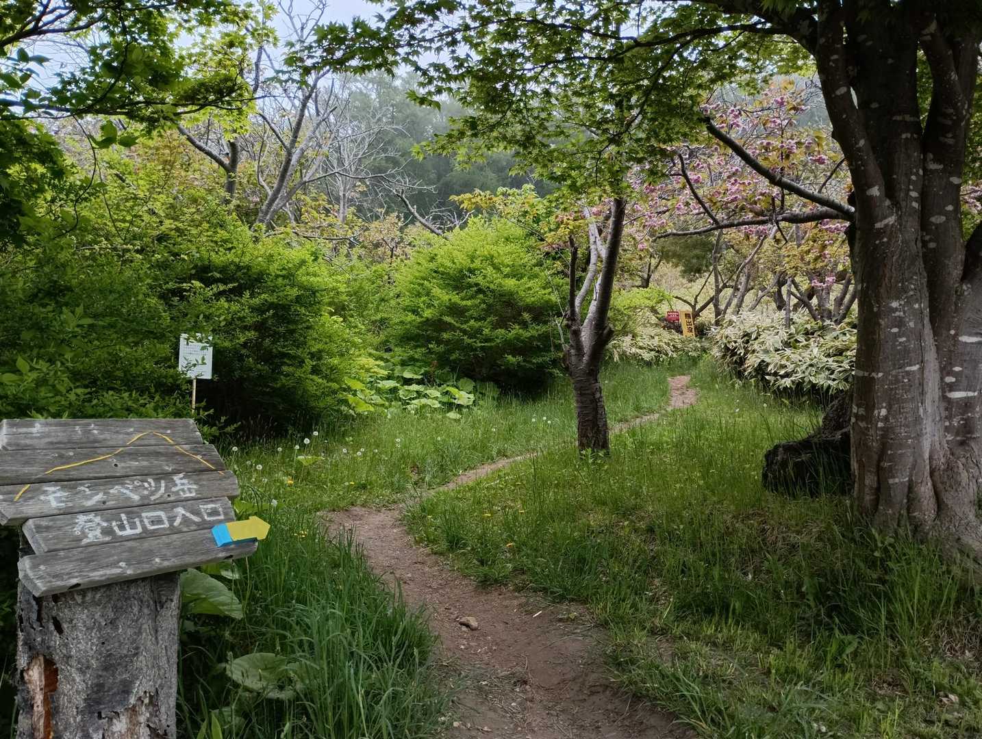 登山口、平日なのに駐車場一杯だった