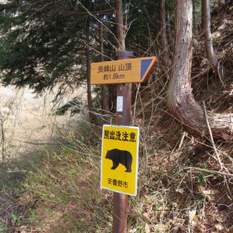 熊注意の看板
今日は大人数だったんで安心でした
