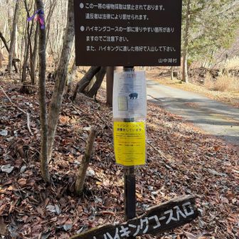 ここから、山の中に入ります💪
熊🐻は大丈夫かな😥