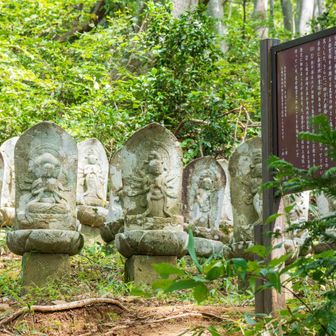三十三観音、謂われはよくわかっていないみたい。