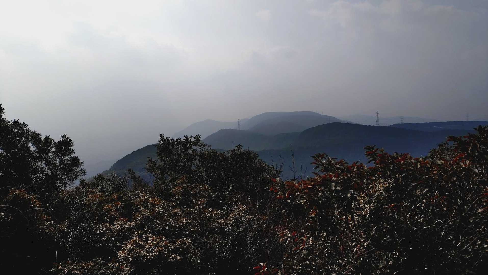 大日の杉-栗ノ木峠-国見山登り口-国見山 往復コースの写真