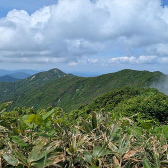 来た道振り返る