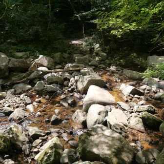 前回来た時よりかなり少なめ
