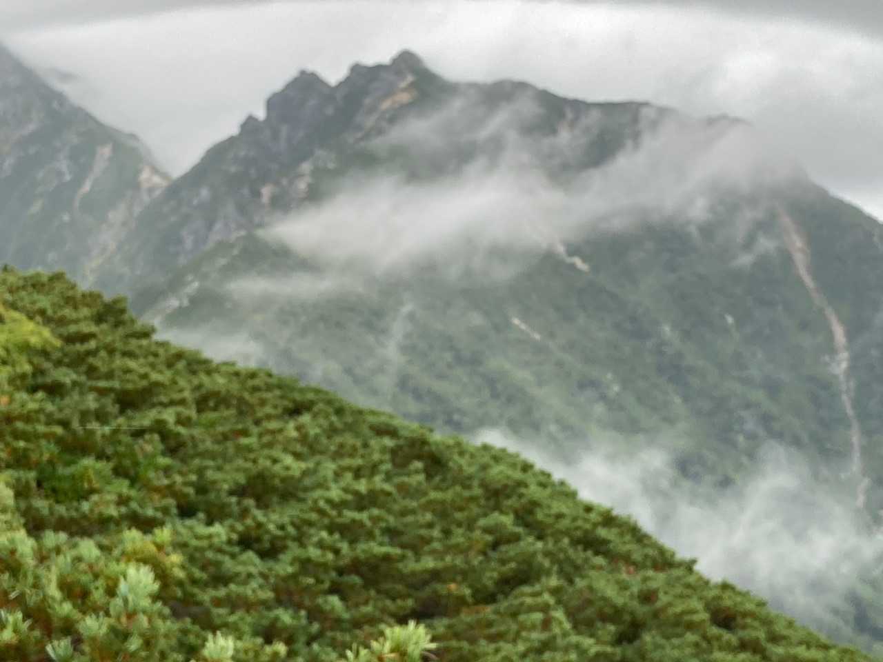 ゲート-伊奈川ダム登山口-越百山 往復コースの写真