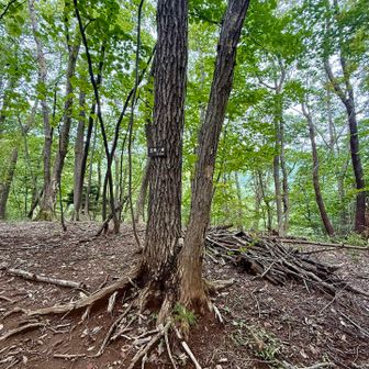 登山口の取り付きが見つからず難航し、急登もあり。。。なんとかチェックポイント