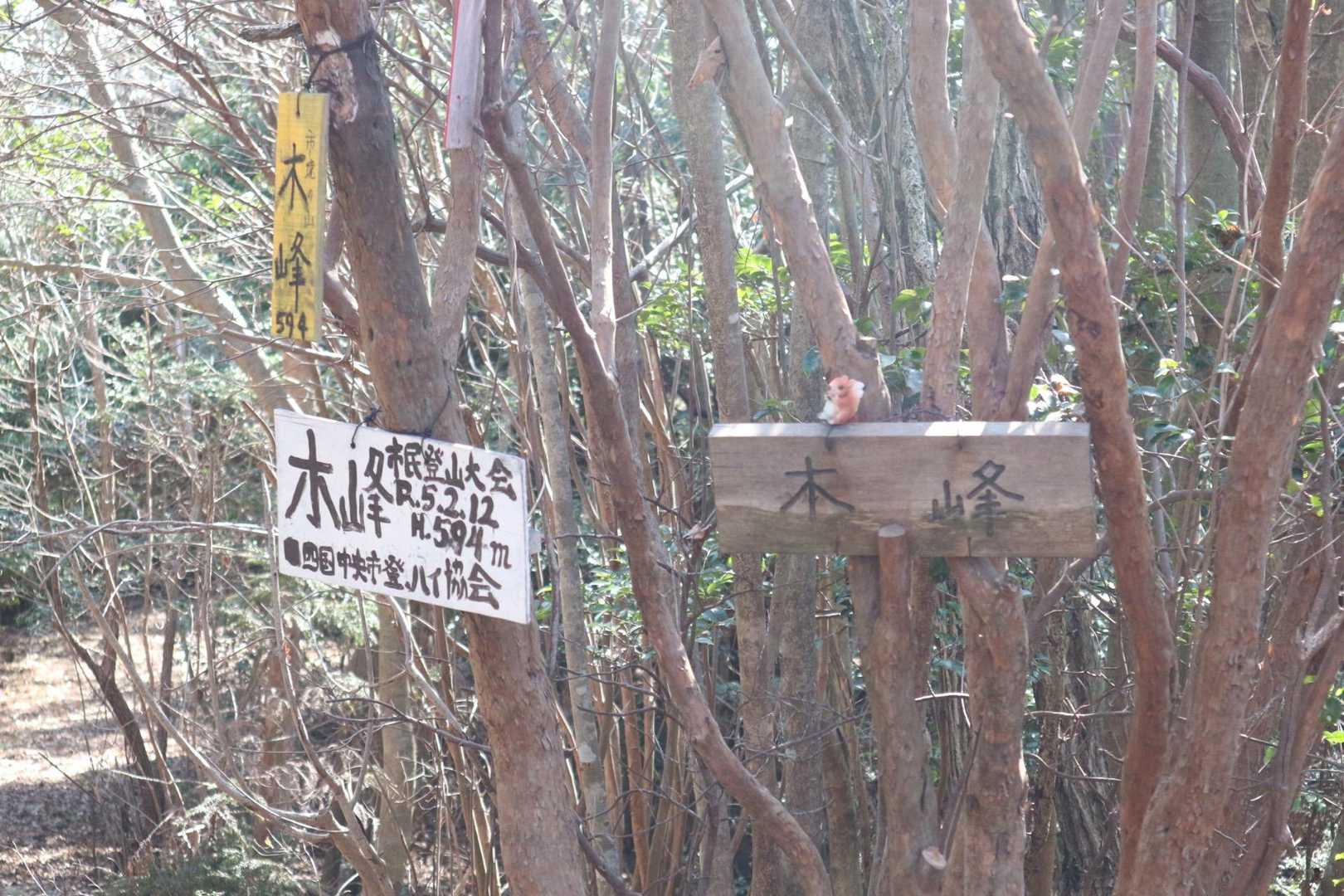 唐谷峠-大谷山-龍王山-金見山 周回コースの写真