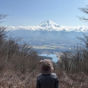 シノブ