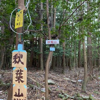 このイセAOKIさんは見た事ない珍しい看板👀