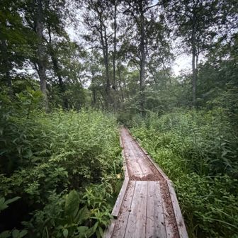 木道、登山者いない