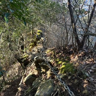 下りだからいいけど、登りならキツイだろうな〜