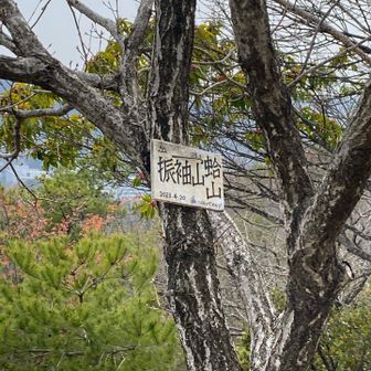 話には加わらず、今から下りる方のことを下りれるのかなぁ〜？遠くなるから嫌やなぁ〜わからんからやめとこって、言ってました笑
そっちへ下りて行きました🤣