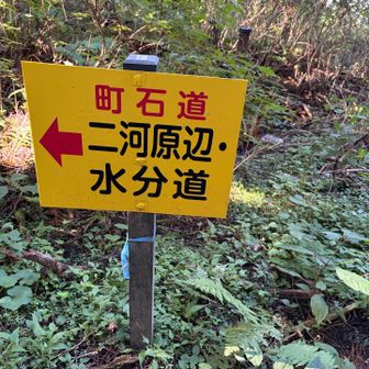 帰りはこちらから！