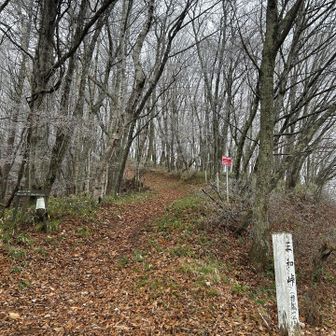 三和峠からスタート。地面は凍っていました