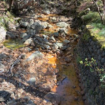 温泉成分あるのかな？