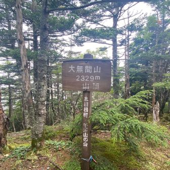 大無間山山頂