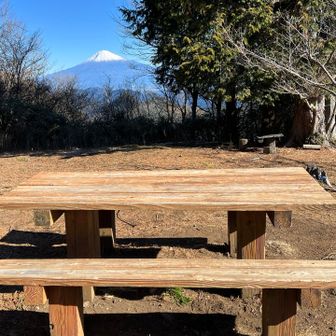 このベンチが特等席です