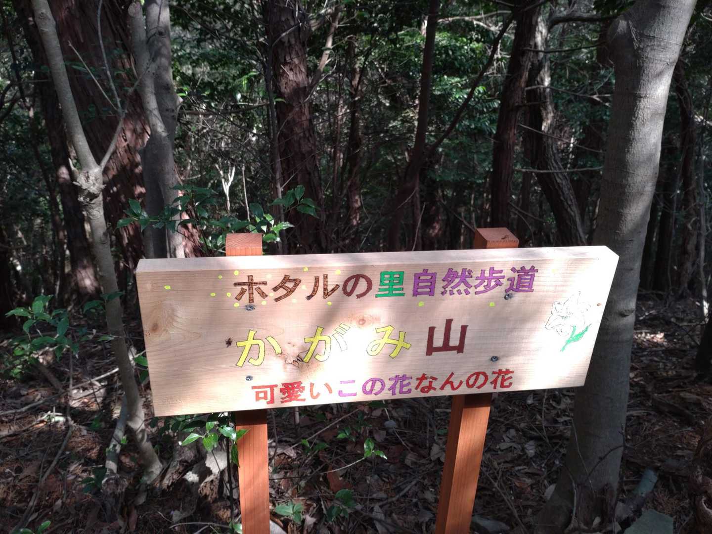 鳥川アルプス 周回コースの写真