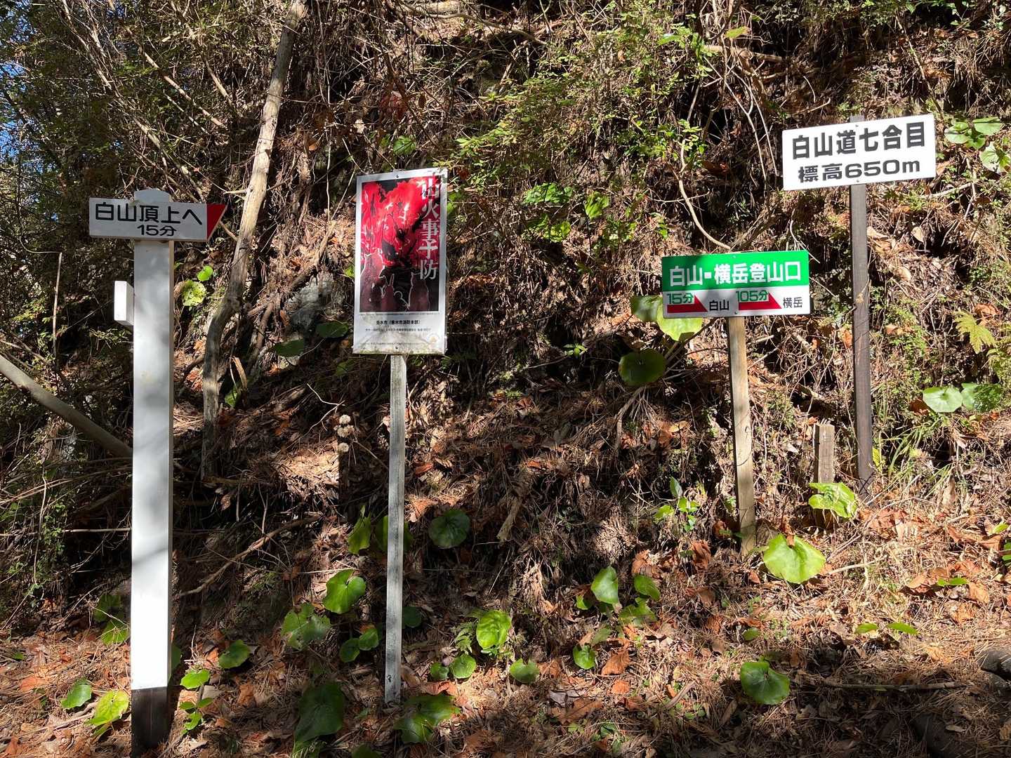 白山登山口-白山-横岳 往復コースの写真
