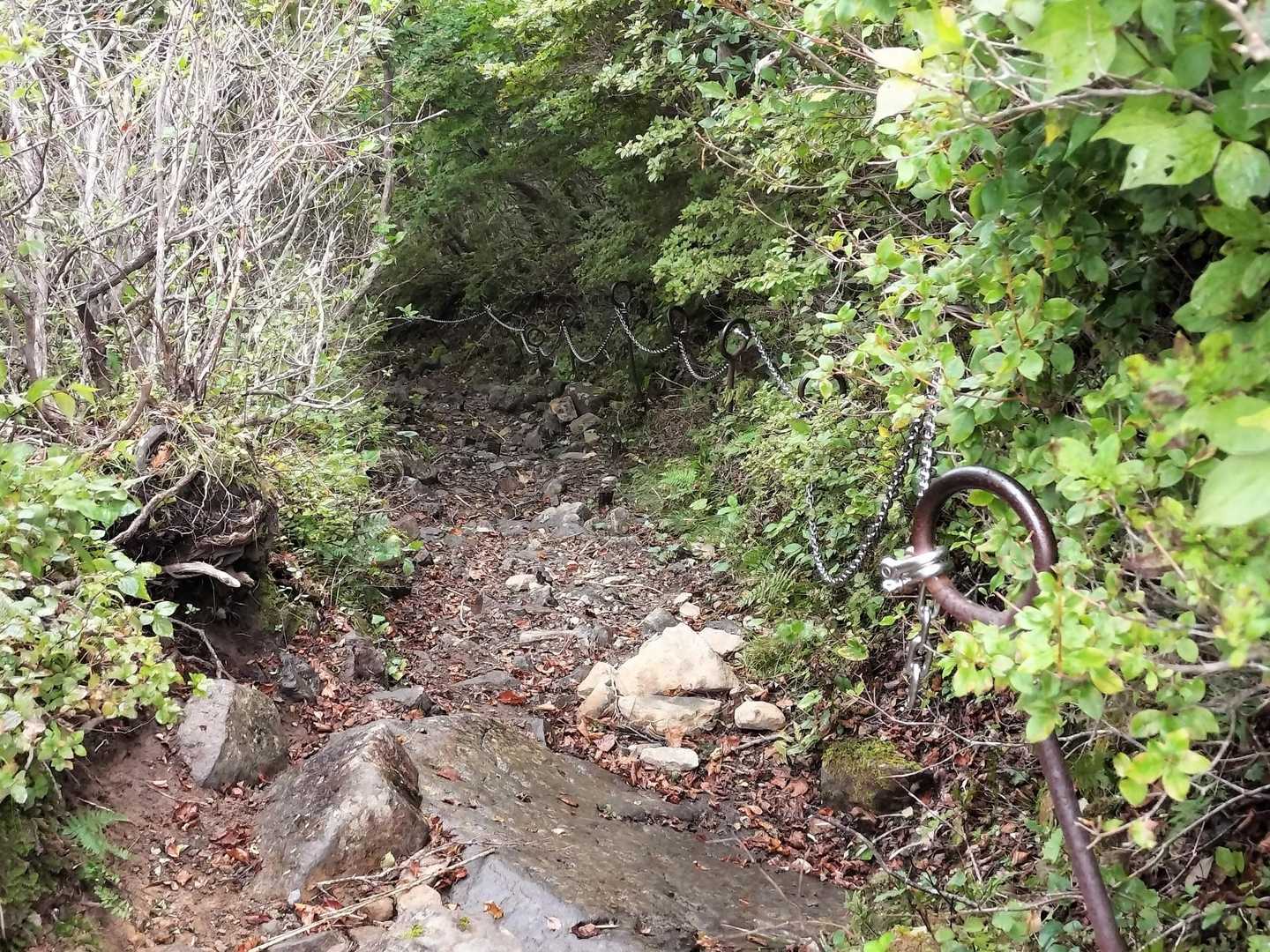 隠居倉から三斗小屋温泉へはなかなかの下りで、雨上がりということもあってズルズルの岩とぬかるみが手強い。ただ、いつも自分が歩いている山と格段に違うのは、こういった場所には全てがっちりと安全装置が用意されているということであり😆ありがたやありがたや🙏