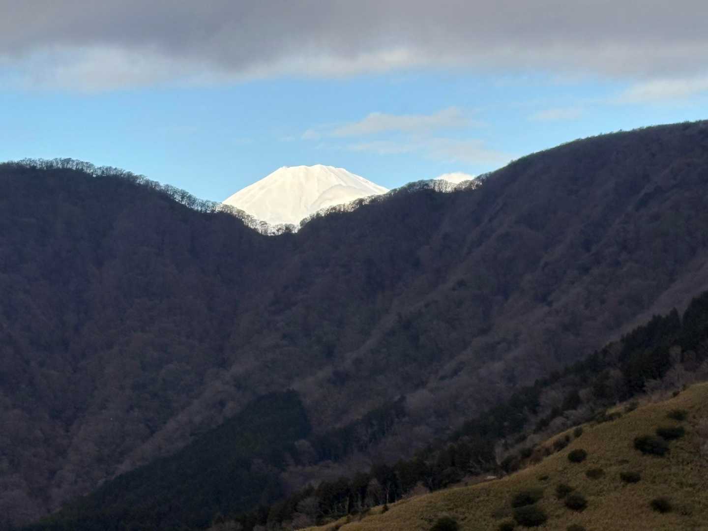 矢倉沢峠-明神ヶ岳 往復コースの写真