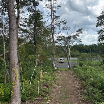 泥ゾーンでスリップしまくりで、何とか1台しか止まってない駐車場🅿️へ。
この後、家までバッタ🦗3尾乗せて帰って来ました😅