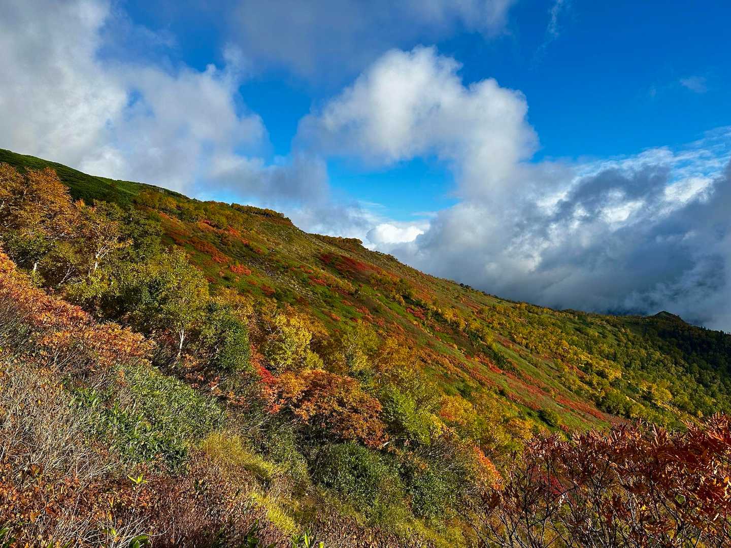 赤岳登山口-第一花園-赤岳-北海岳-黒岳-七合目リフト駅 縦走コースの写真