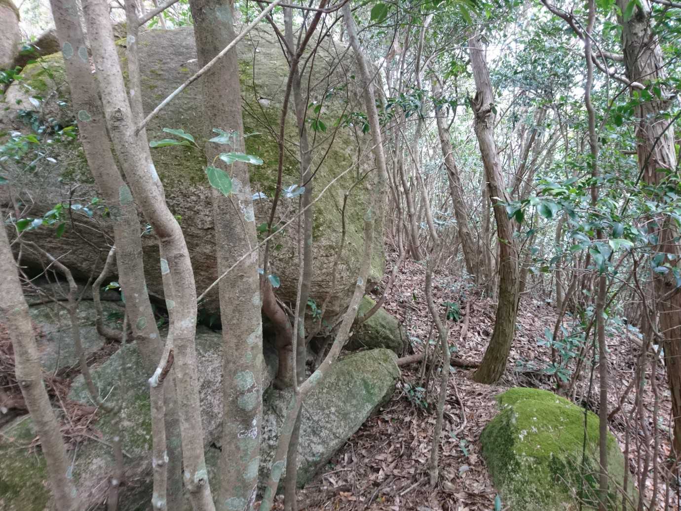 岩を右に巻く。