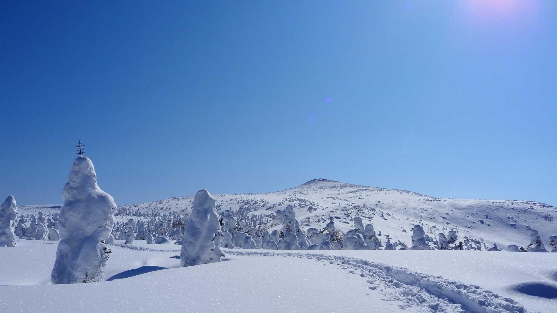 大釜温泉登山口-乳頭山 往復コースの写真