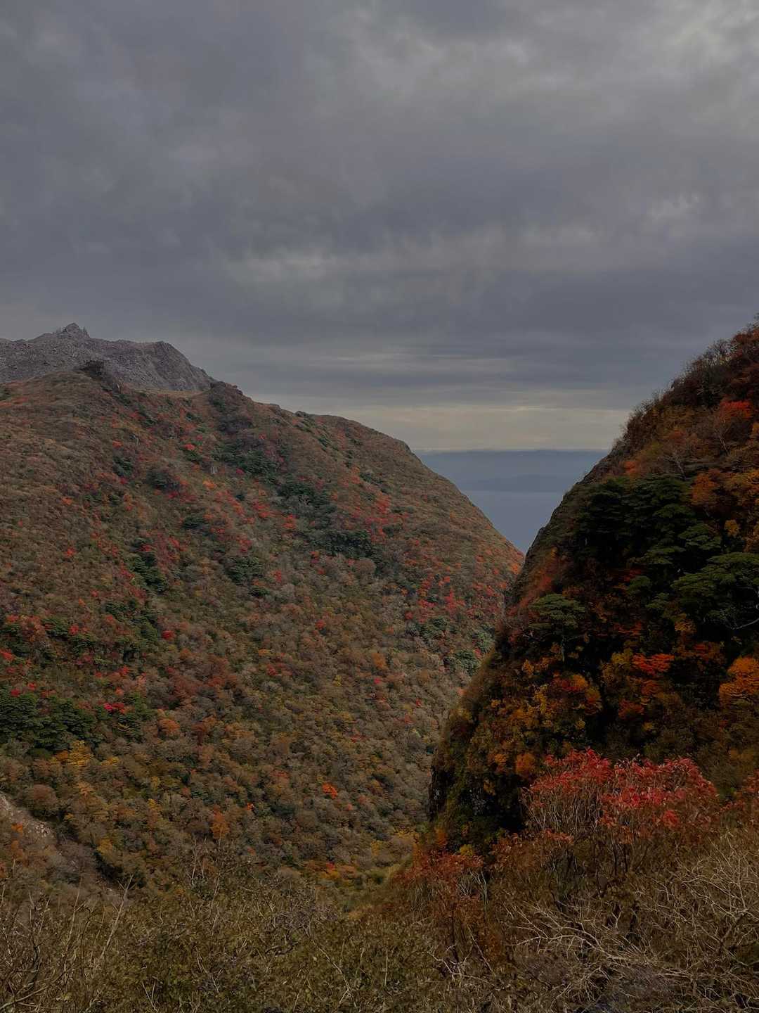 妙見岳駅-妙見岳-紅葉茶屋-普賢岳 往復コースの写真