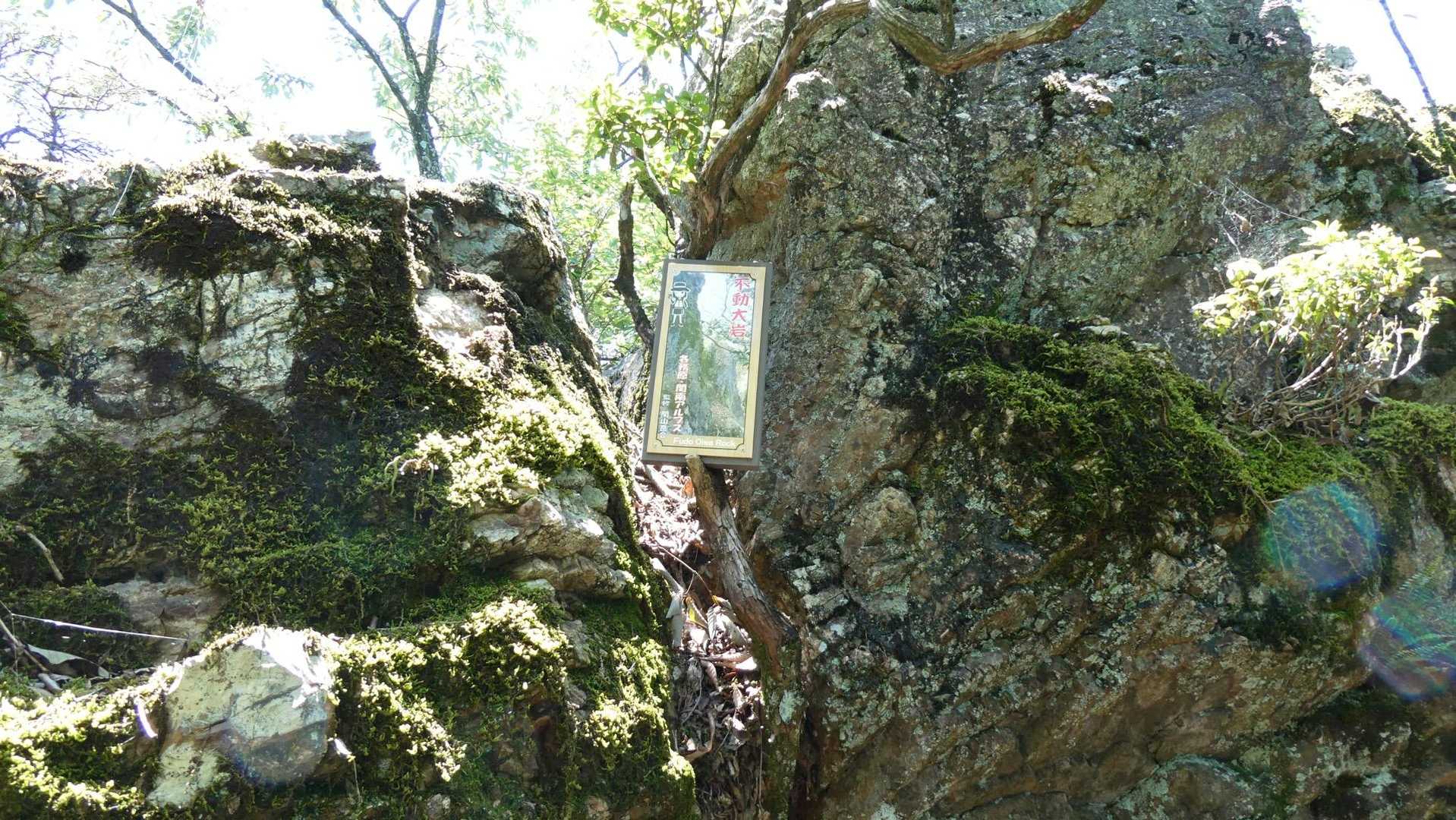 金山-岩坂峠 周回コースの写真
