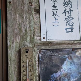 まだオバサンいない、チャリン✌️