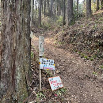 私が降りた道よりも歩きやすいとのこと