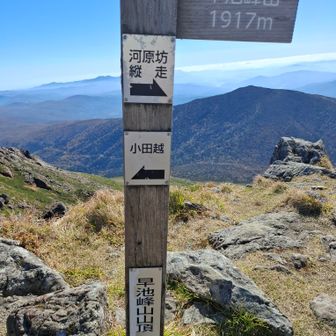 山頂に到着