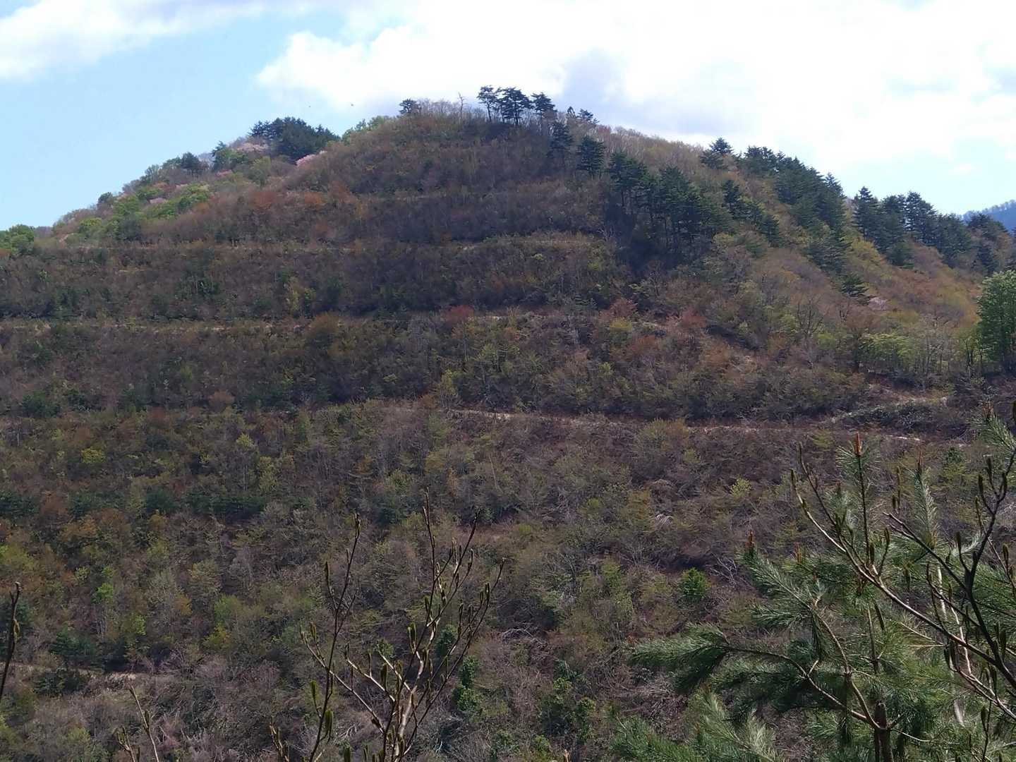 バリカン山ですね
