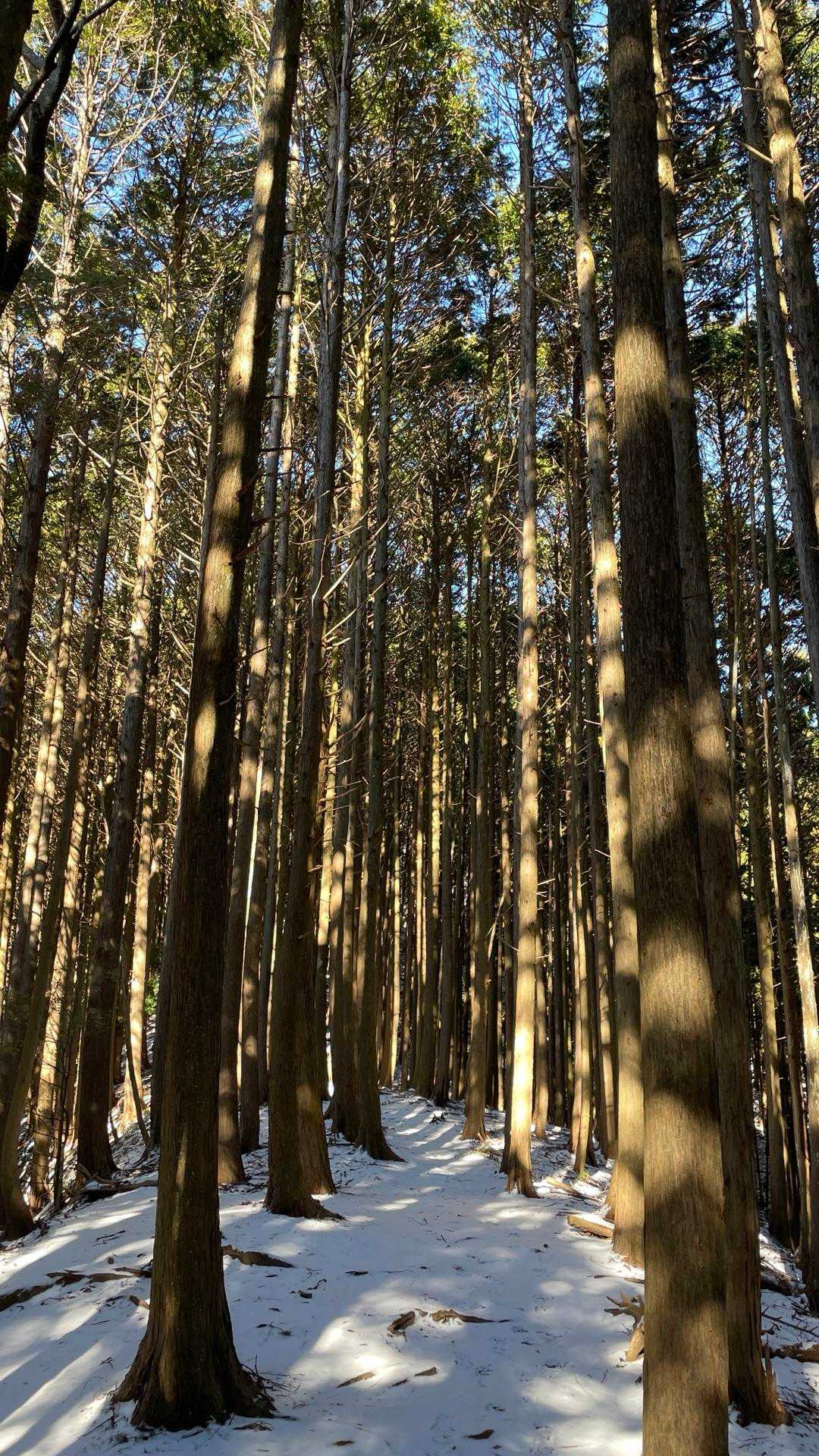 出発
朝日に当たるオレンジがきれいや
赤地蔵さんから