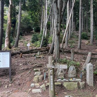京都一周トレイルとお別れ