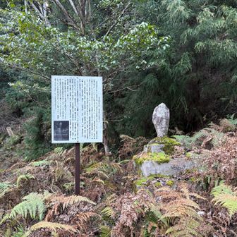 峠のお地蔵さん。いつか忘れ去られるんやろうなぁ。今年も無事に終われそうです🙏
本日もありがとうございました😊
