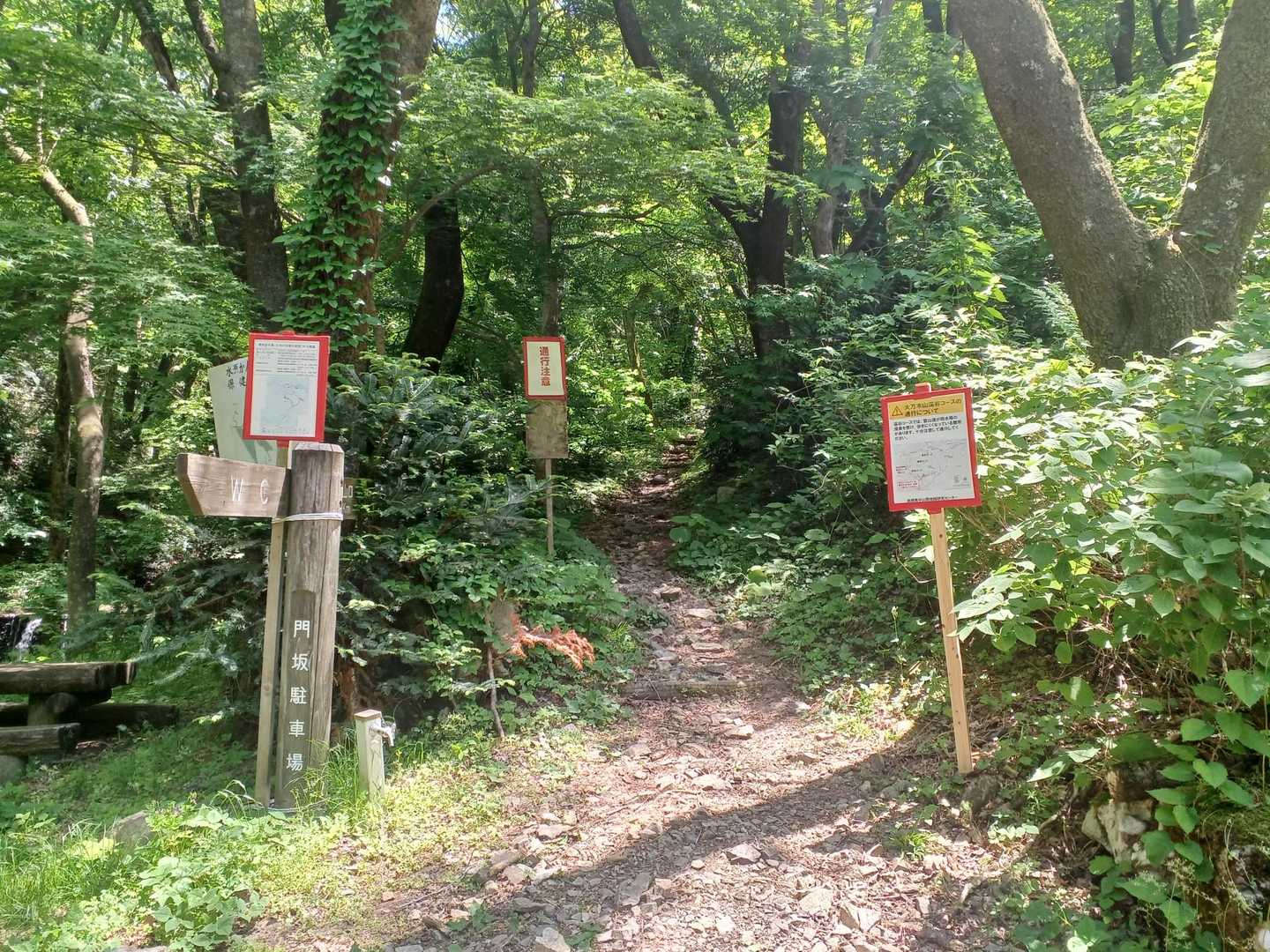 お願い、残ってて😣🙏…と、登山開始。