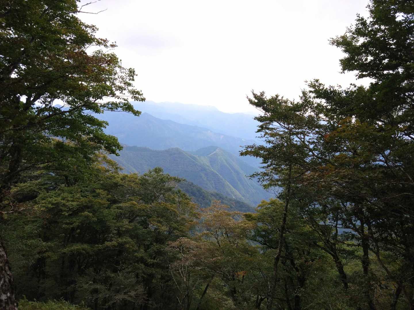 七曜岳から行者還岳方面へ向かいます。写真が良くないですが、眺望よし。