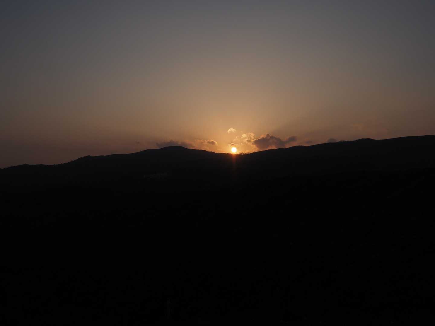 夕日です。