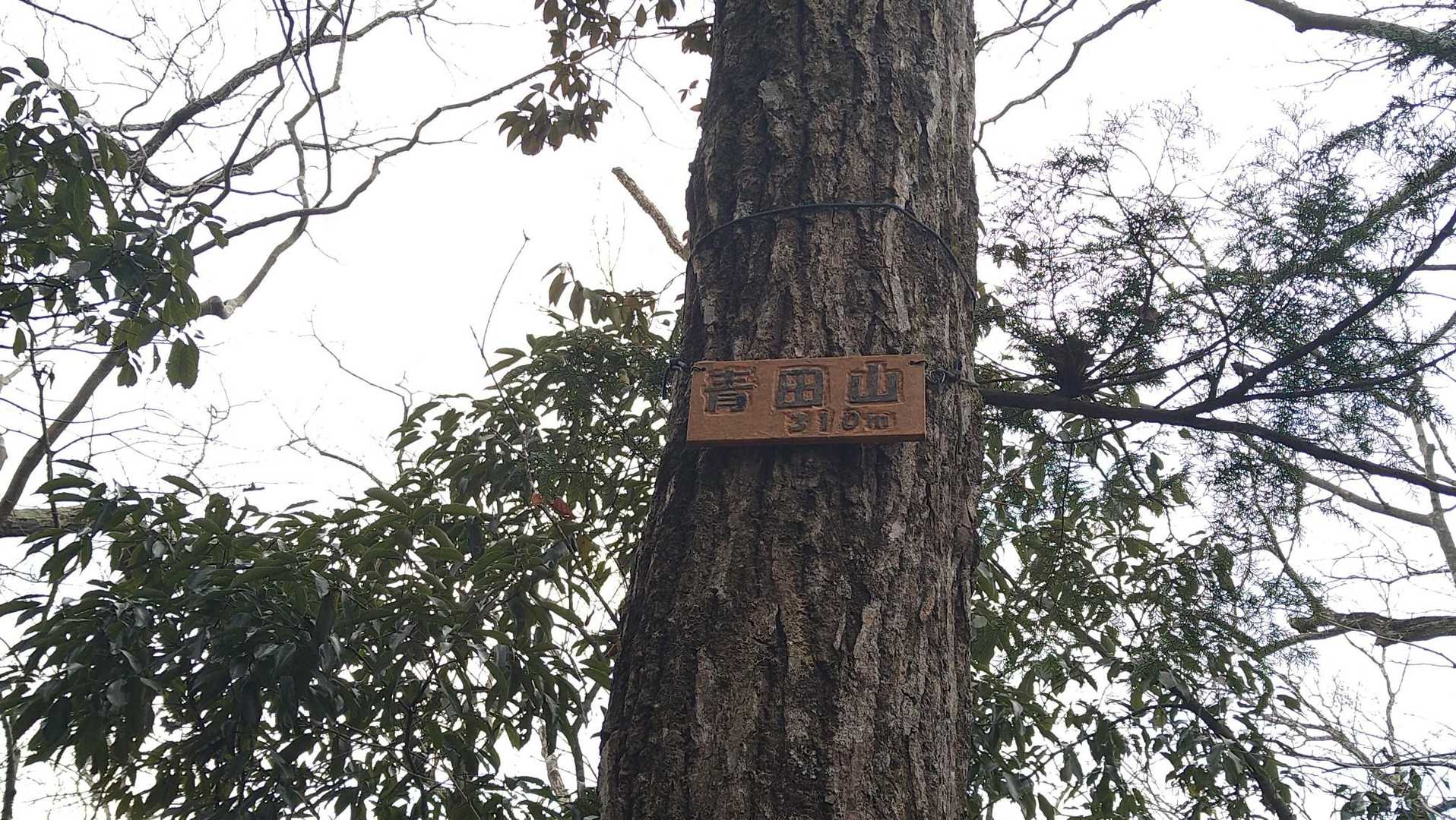 1つ目のピーク展望無し。直下は急坂…