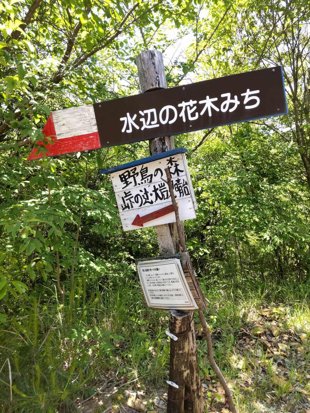 すぐ右側へ入り