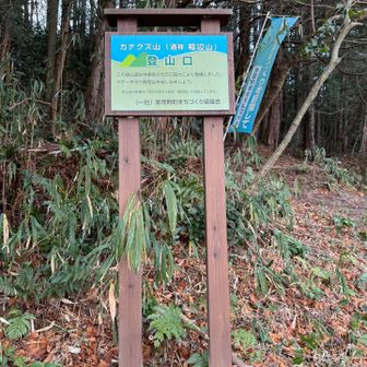カナクズ山登山口に到着
別名は稲辺山という事ですが、カナクズ山の名前の由来が知りたいです