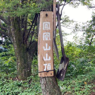 さんちょー